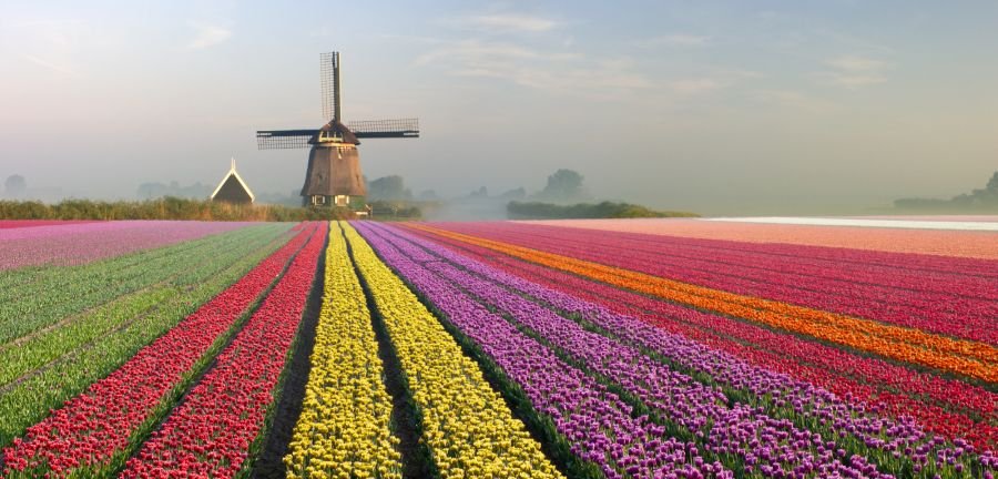 Concurso De Malas Prontas para a Holanda vai dar passagens de ida e volta para Amsterdam