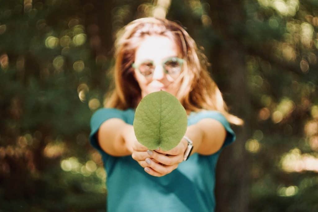 Bolsa para mestrado em gestão do meio ambiente na Alemanha e no México