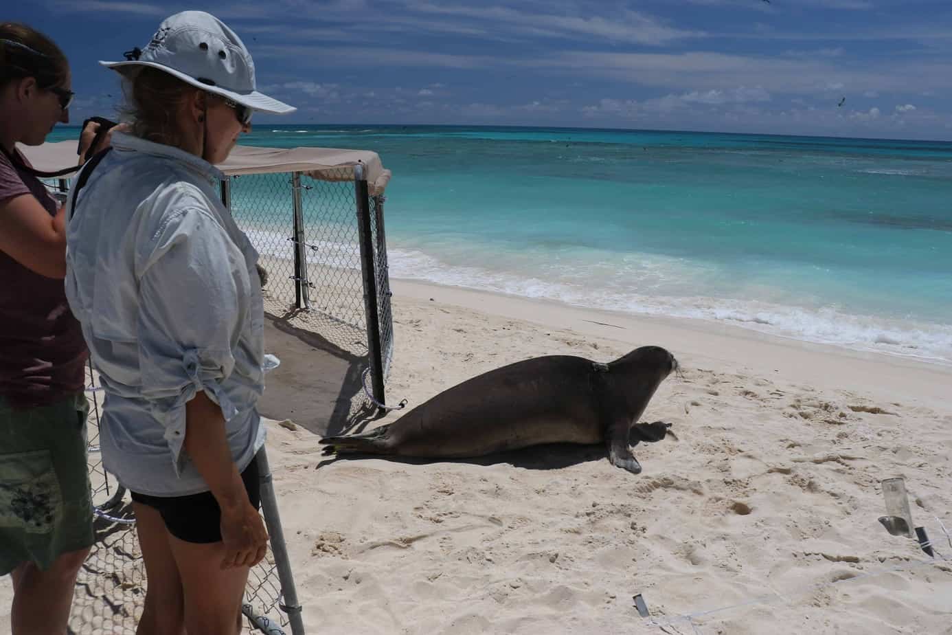 Bolsa para mestrado em biologia marinha na Alemanha
