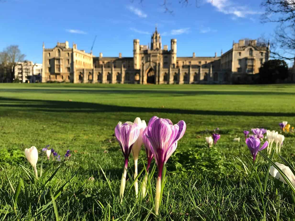 Trust: bolsas para pós-graduação em Cambridge no Reino Unido