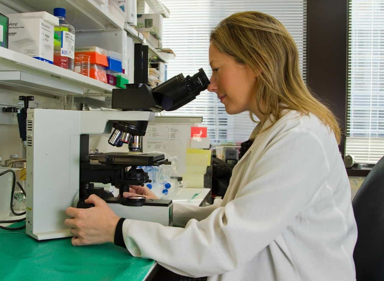 NEURASMUS: mestrado em neurociência na Europa e no Canadá