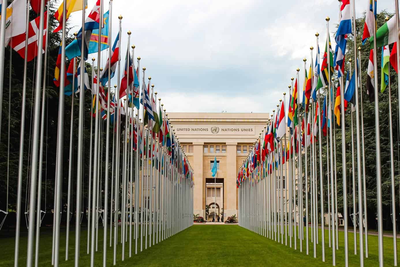 Como trabalhar na ONU: guia completo de vagas na Organização das Nações Unidas