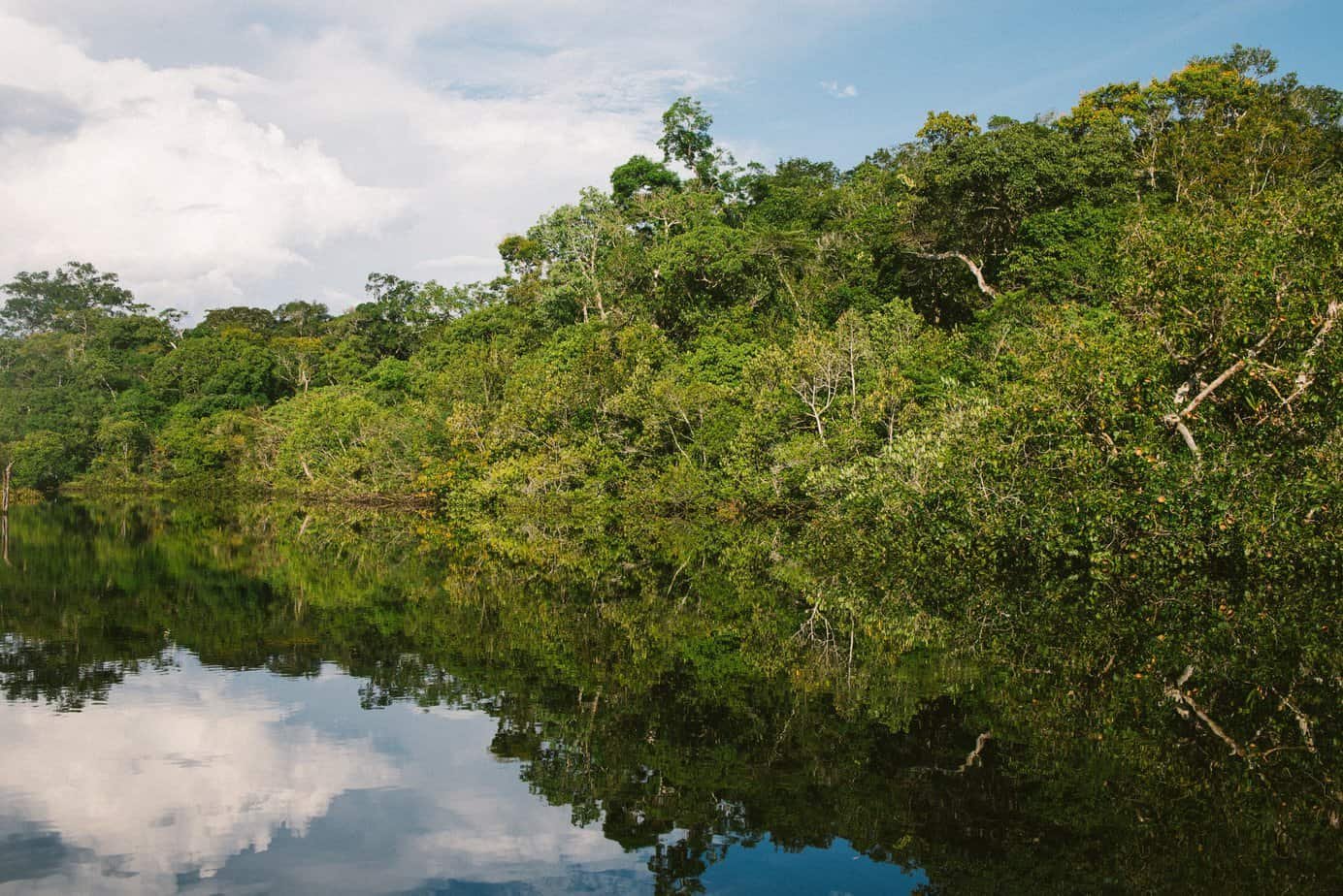 Bolsas para pesquisa sobre a Amazônia da Comissão Fulbright recebem inscrições