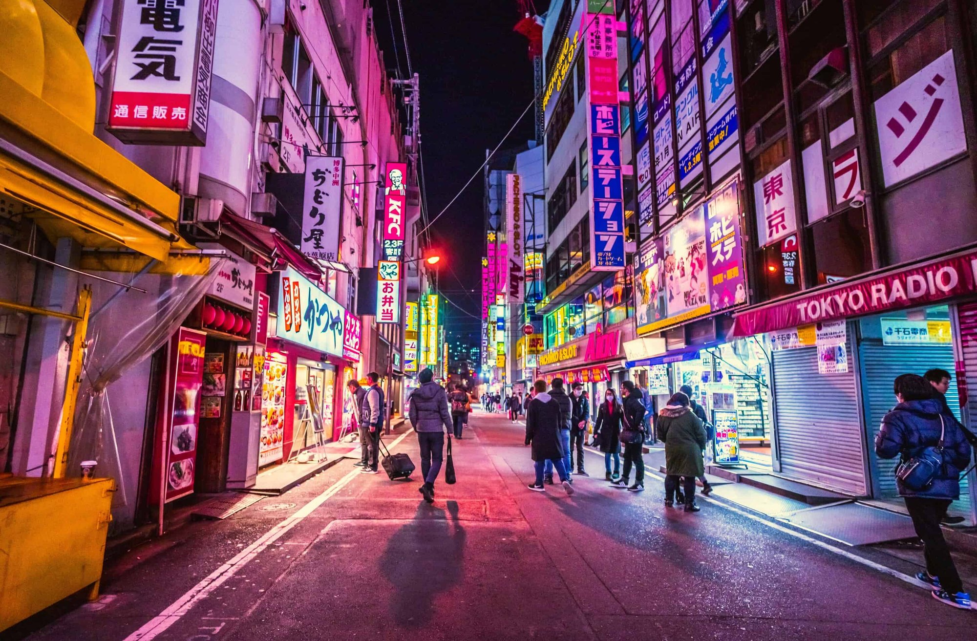 Como fazer estágio no Japão: conheça a Junior Fellows Internship da United Nations University (UNU)