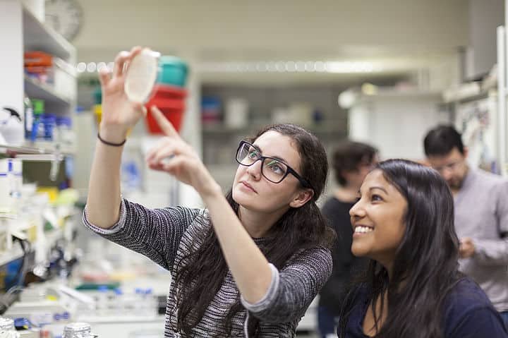 Vienna BioCenter Summer School 2026: curso de verão com bolsa integral na Europa